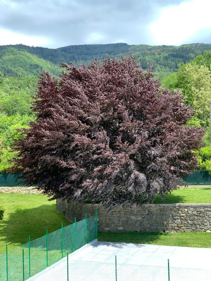 Nidi Del Faggio Rosso - Family Holiday Home Maresca 외부 사진