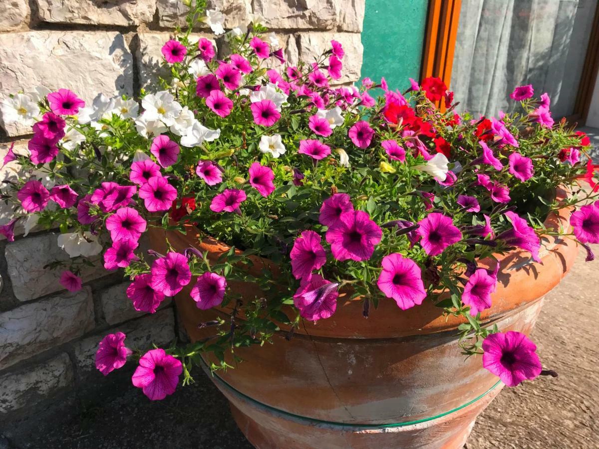 Nidi Del Faggio Rosso - Family Holiday Home Maresca 외부 사진